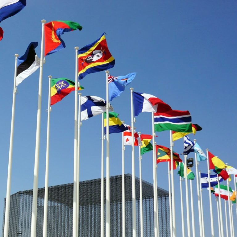 Immigration Document Preparers A row of various international flags against a clear blue sky.